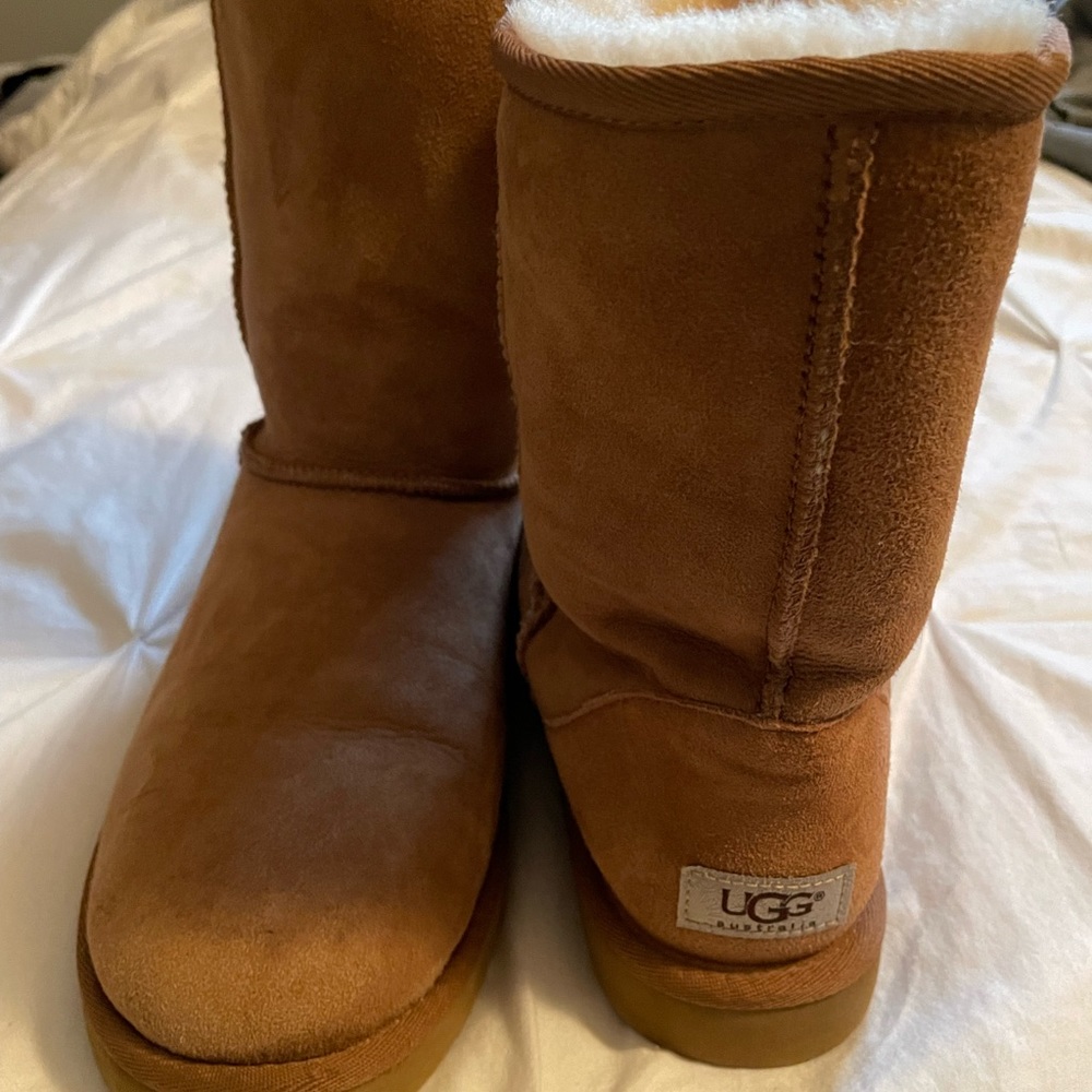 UGG CHESTNUT SHORT BOOTS